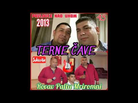 PAVLOVCE TERNE CAVE 43   ROVAV PALTU MRIROMNI   rok 2013