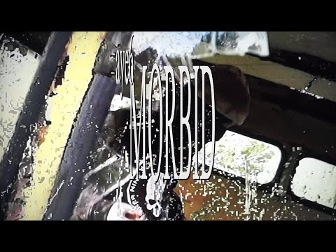 aye6 - morbid (p. yqinnny)