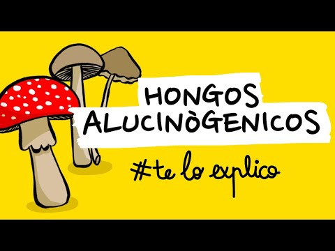 TODO LO QUE NECESITA SABER SOBRE LOS HONGOS ALUCINOGÉNOS Y LA PSYLOCIBINA | #TELOEXPLICO