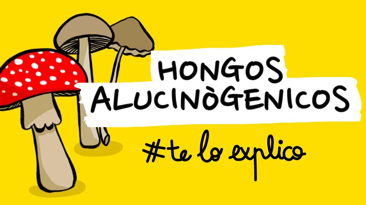 TODO LO QUE NECESITA SABER SOBRE LOS HONGOS ALUCINOGÉNOS Y LA PSYLOCIBINA | #TELOEXPLICO
