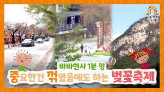 (바바현사 1분멍) (동학사 편) 바쁘다 바뻐 현대사회! 딱 1분만 동학사 벚꽃 보며 쉬어보는건 어때?#공주시 #바바현사 #중꺽마 #멍때리기 #관광 #공주여행 #봄나들이 #여행지 #동학사 #벚꽃 이미지