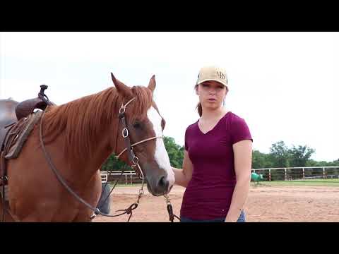 Tips and Drills on Approaching the barrel