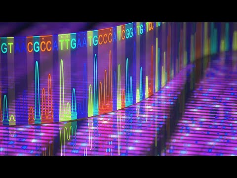 Paired End vs. Single Run Sequencing