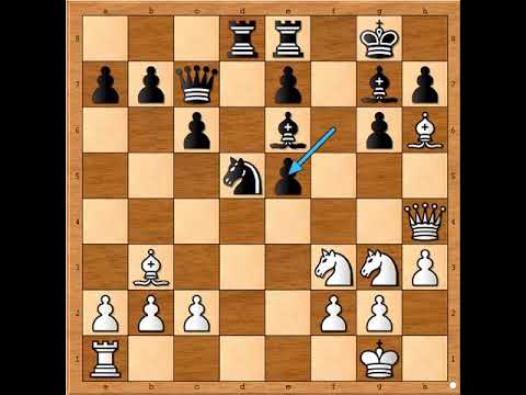 Miša u olipjskom okršaju osvaja figuru više 🤩♟💥💥💥                     TAL vs TIMMAN #2539