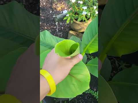 everything update 2023