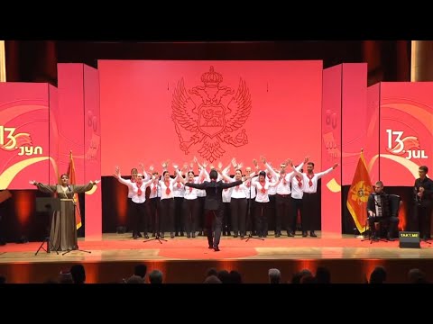 Vokalisti - Sivi sokole