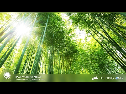 Saad Ayub feat. ArDao - Shinrinyoku [As Played on Uplifting Only 208]