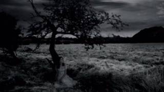 My Dying Bride - Sear Me MCMXCIII