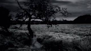 My Dying Bride - Sear Me MCMXCIII