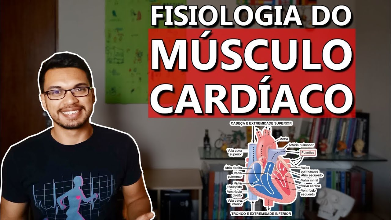 Fisiologia do Músculo Cardíaco [Cardio 01]