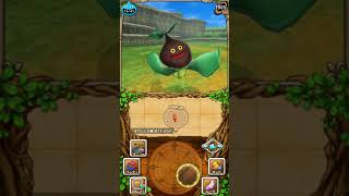 【実況無し】 #2 iOS DQモンスターズ  テリーのワンダーランドSP
