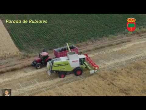 Salamanca y sus tierras XXXIII: Parada de Rubiales.