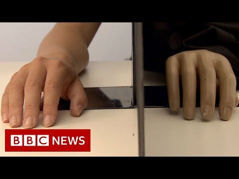 What do you feel when you watch this? - BBC News