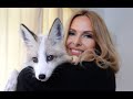SO YOU WANT A PET FOX? - The Ultimate Guide / Animal Watch