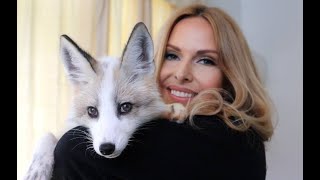 SO YOU WANT A PET FOX? - The Ultimate Guide / Animal Watch