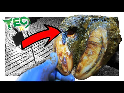 HOLE IN THE SOLE | TEC TV