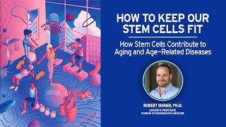 Newswise:Video Embedded to-ward-off-aging-stem-cells-must-take-out-the-trash