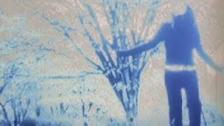 i dont wanna die by the unicorns but its playing from a shitty vhs player (with lyrics)