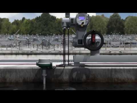 Feldbuskompetenz - Das ist AUMA