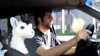 The Silent Treatment