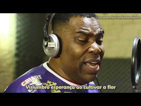 Bambas da Alegria 2019 - Clipe Oficial