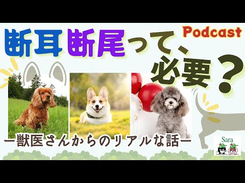 犬の尻尾や耳を切るのはなぜいけないのですか?