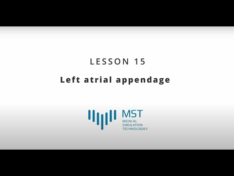 MST Masterclass - Lesson 15 - Left atrial appendage
