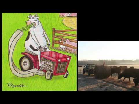 Lecture 2 pt 1: The Beef Production System in Texas