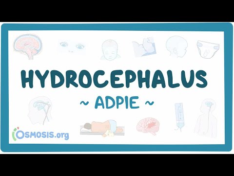 Chronic obstructive pulmonary disease Nursing Process