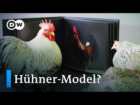 Hühner so glamourös wie nie! | Euromaxx