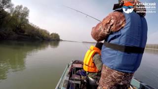 Fox rage terminator bait force pro