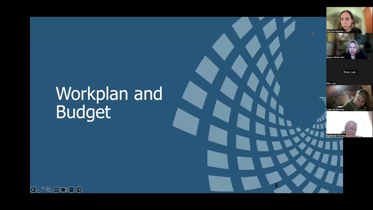 P4G Call for Partnerships Workplan and Budget Webinar