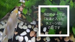 【雑談動画】今回のテーマは｢友達と入った飲食店｣について　#雑談 