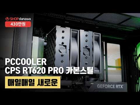����ũ�δн� Classic II 850W 80PLUS��� Ǯ��ⷯ ATX3.1