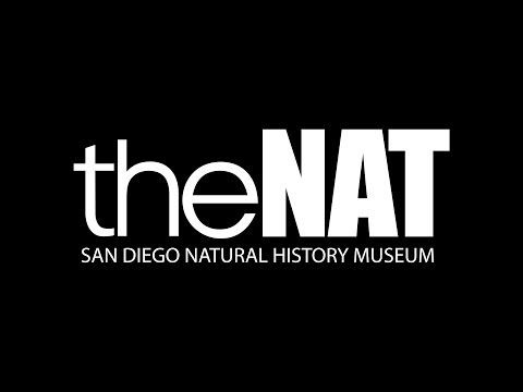 Cerutti Mastodon Site Press Conference | April 26, 2017