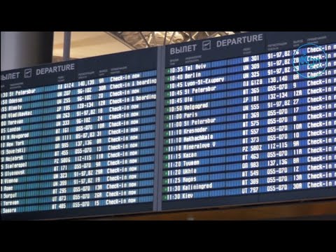 It's Not Your Flight | Rabbi Joey Haber
