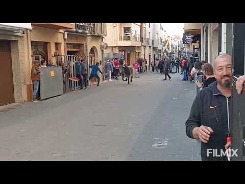 TRAIGUERA ( CS ) 17-4-2023 GN : FERNANDO MANSILLA