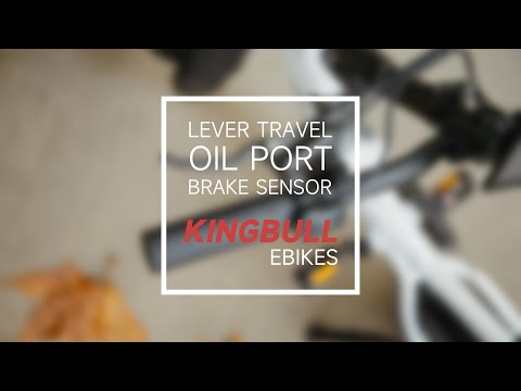 Kingbull HOW-TO🚴‍Adujust LEVER TRAVEL & BRAKE SENSOR丨For Model: Literider, Voyager, Rover