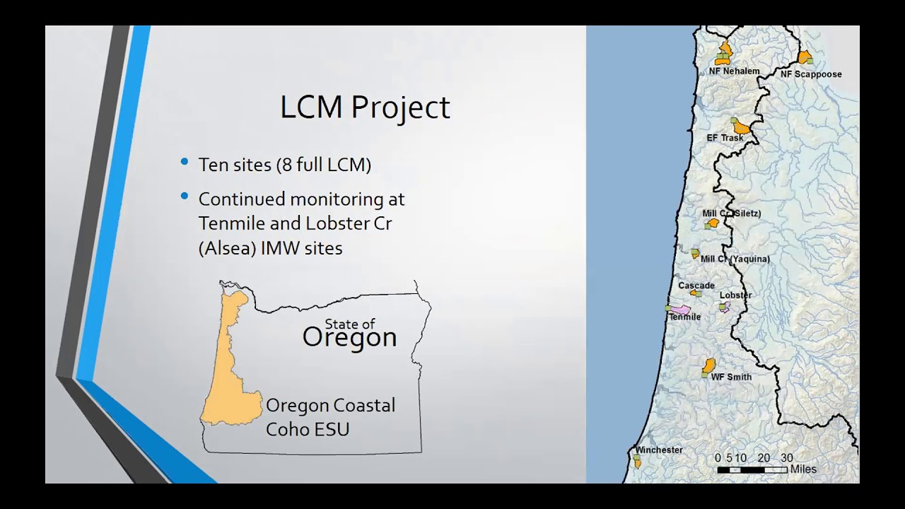 Tenmile Creek IMW: 27 years and counting - Suring