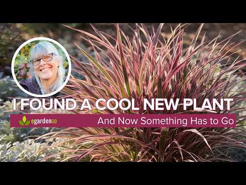 I Found a Cool New Plant 🌿 Now Something Has to Go