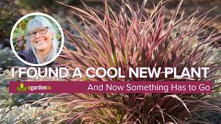 I Found a Cool New Plant 🌿 Now Something Has to Go