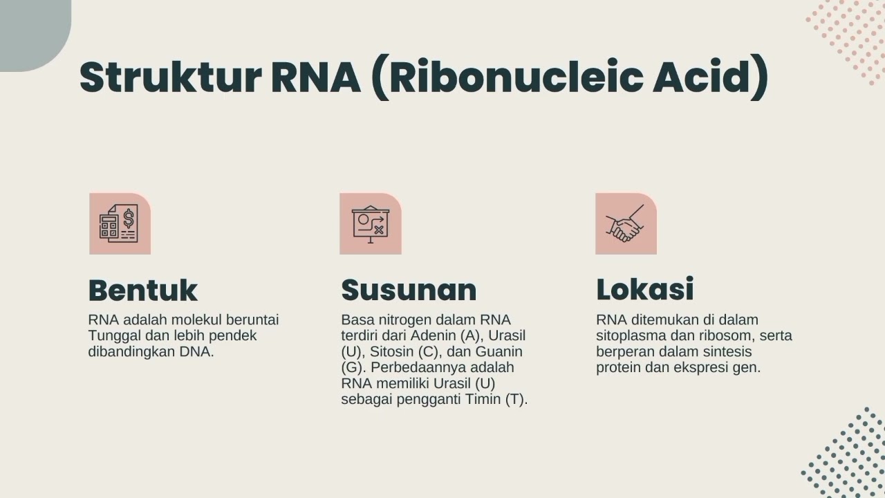 Perbedaan Struktur DNA dan RNA dalam bioteknologi hutam