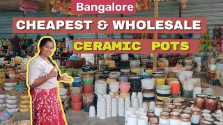Cheapest Wholesale Ceramic Pots Shop for Plants in Bangalore | Terrace Gardening Shorts |Shanthavana