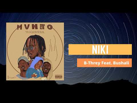 NIKI Feat. Bushali