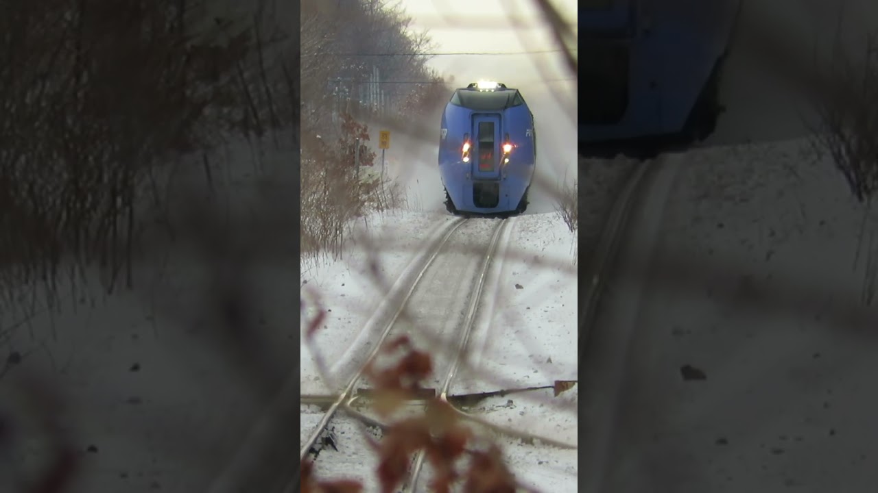 キハ283系　スーパーおおぞら 2018年  #鉄道 #JR北海道 #Shorts