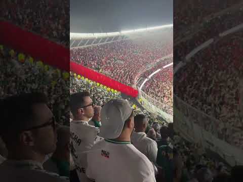 "El MONUMENTAL visto desde la hinchada de Palmeiras " Barra: Los Borrachos del Tablón &bull; Club: River Plate