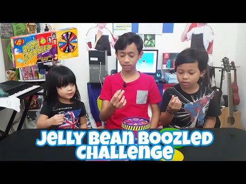 Bean Boozled Challenge With Ryan Dan Adik | Challenge Game