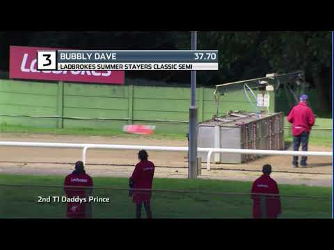 2020 LADBROKES SUMMER STAYERS - 3RD SEMI - T3 BUBBLY DAVE