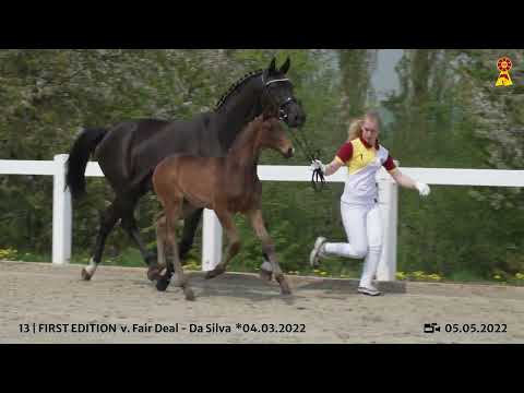 Lot 13 - Hengstfohlen v. Fair Deal/Da Silva