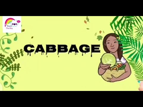 , title : 'Cabbage .. Small Presentation about Cabbage | for kids learning | Touch The Sky'